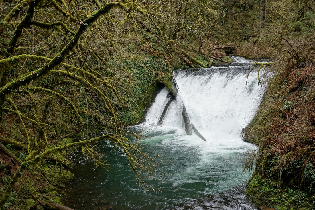 Lower North Falls hike in Oregon