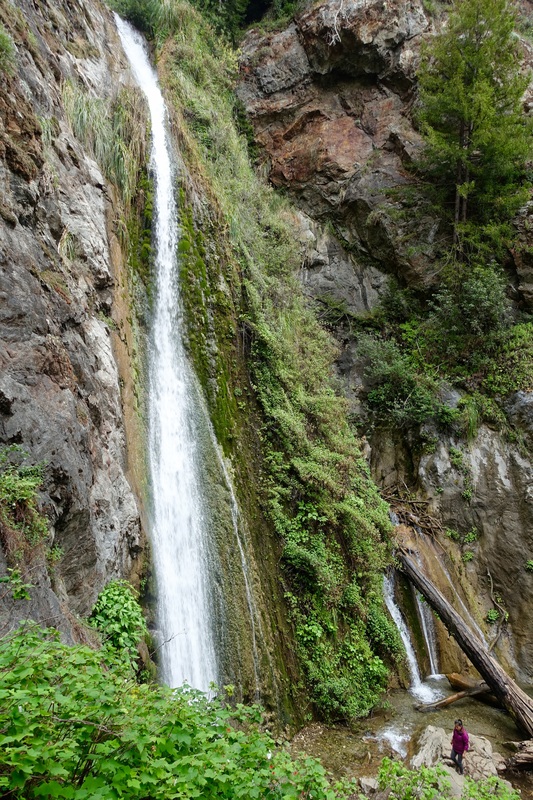Limekiln Falls hike in California