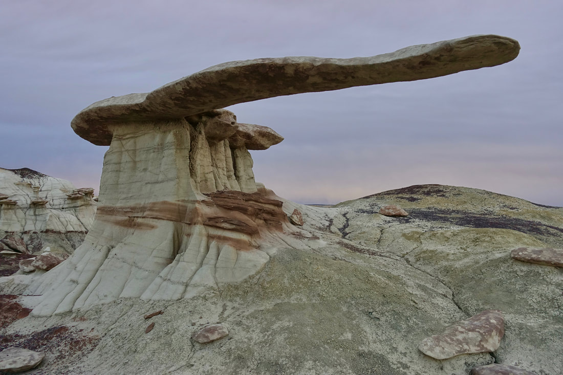 King of Wings in New Mexico's northern badlands