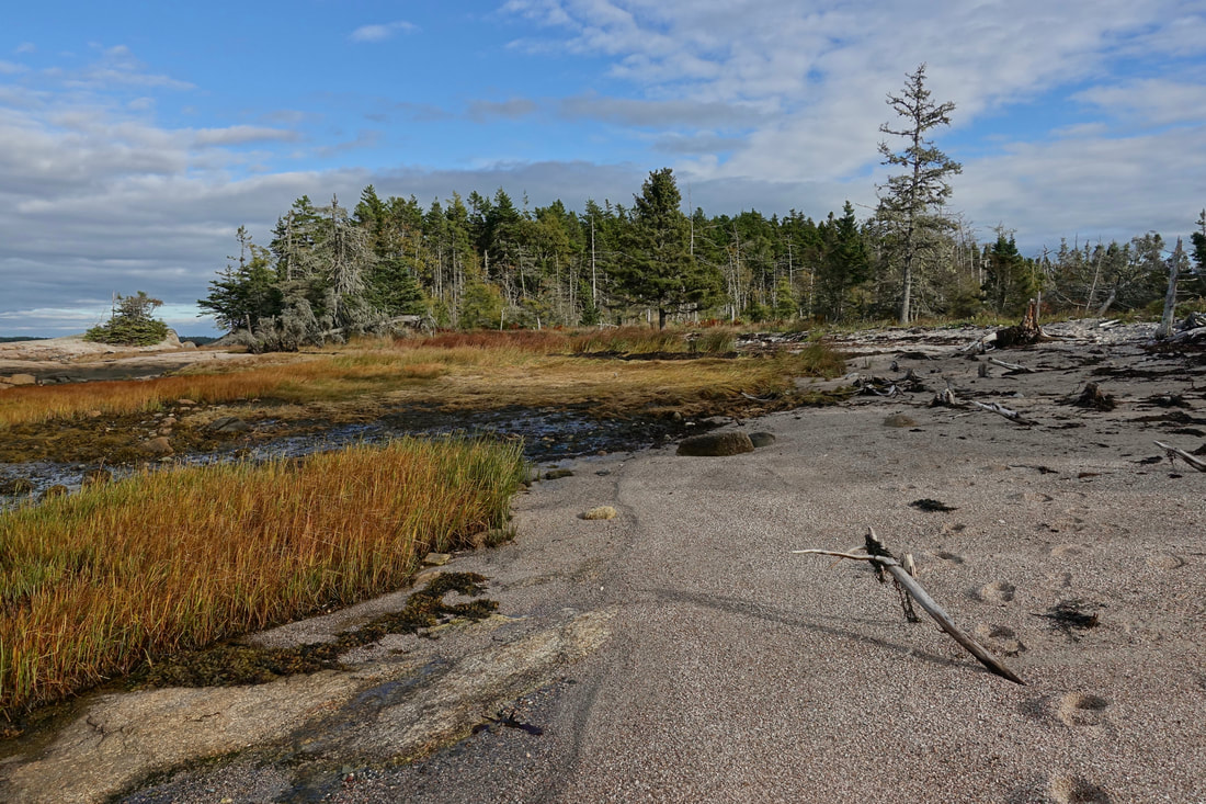 Great Wass Island Preserve hike in Maine