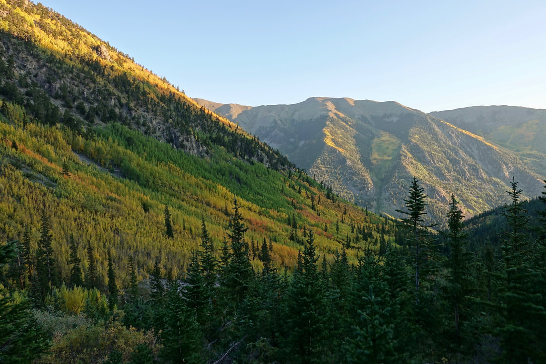 The Missouri Gulch trail that leads to the summit of Mount Belford and Oxford in Colorado