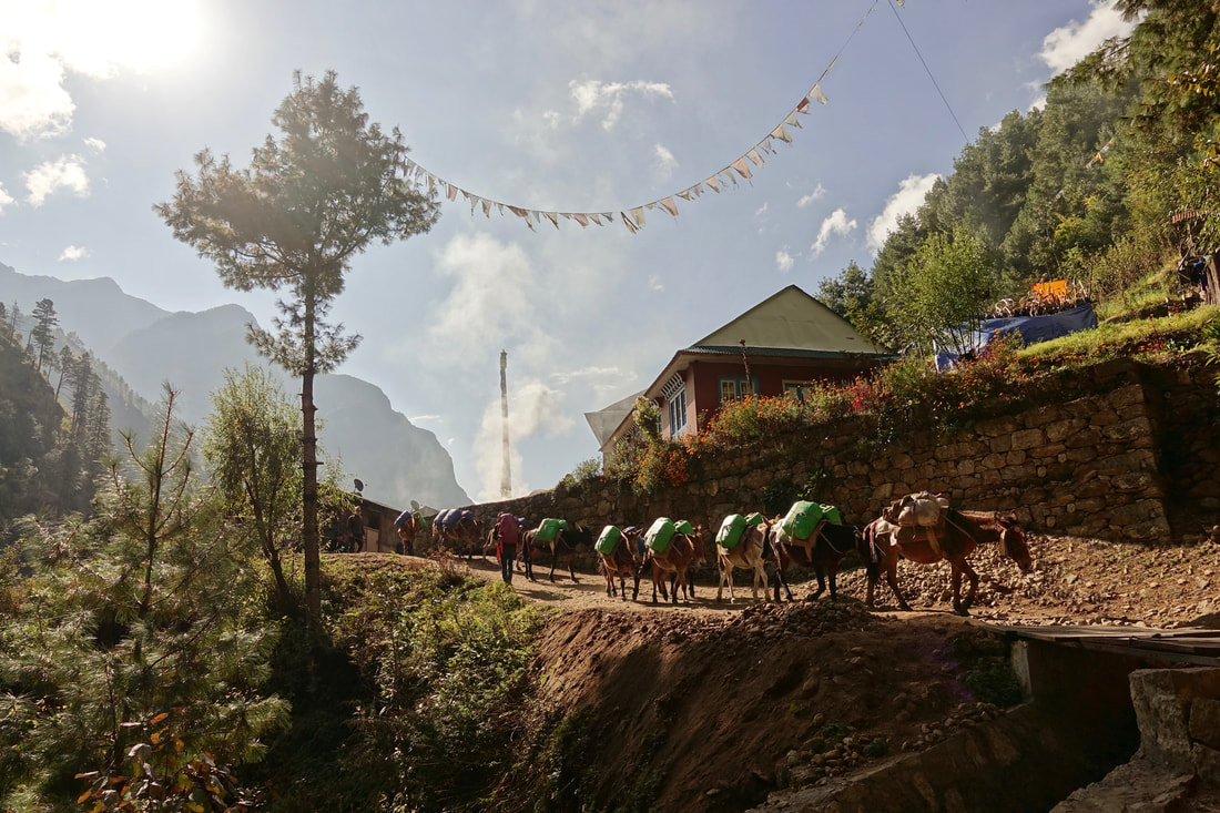Walking through the lower valley from Lukla to Namche Bazar