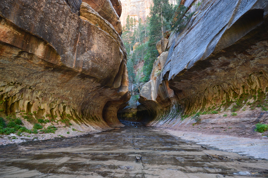 Beginning of the Subway in Zion