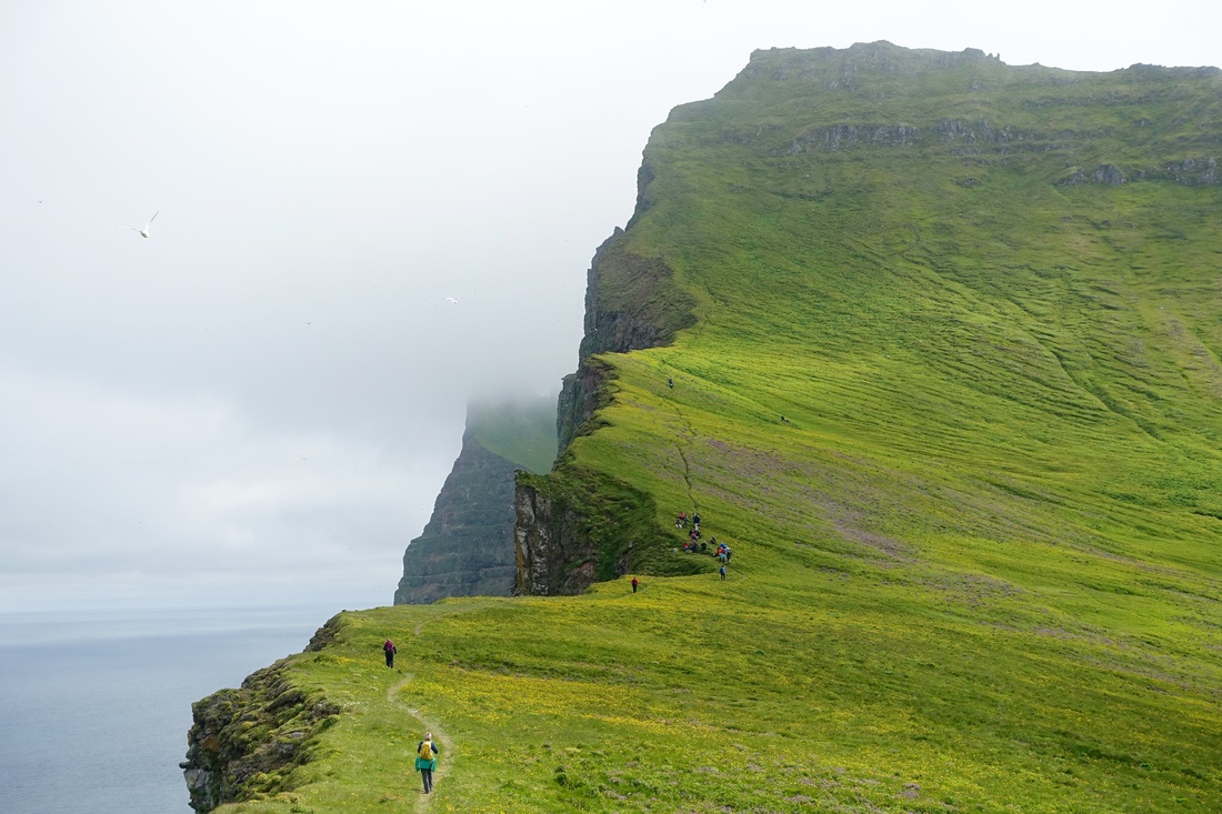 Hornbjarg cliffs hike in Iceland