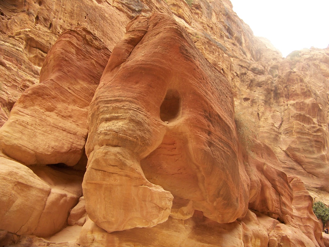 Elephant carving in Petra
