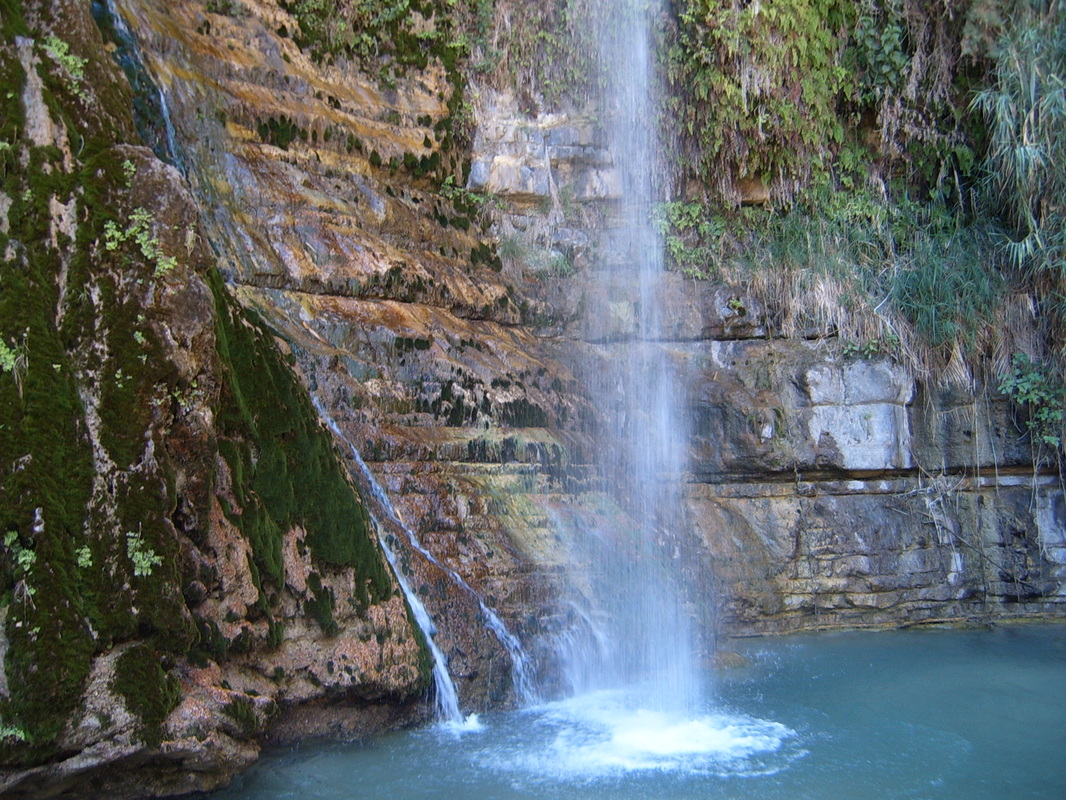 En Gedi waterfall