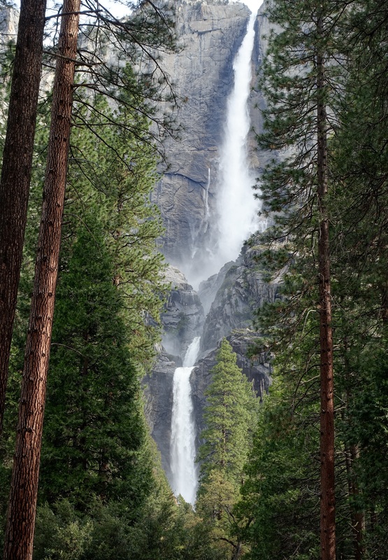 Lower Yosemite Falls Trail in spring