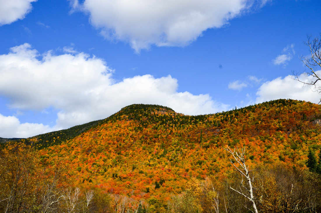 Fall colors in White Mountain National Forest New Hampshire