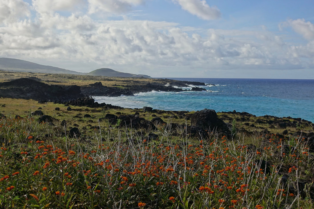 The north coast on Easter Island