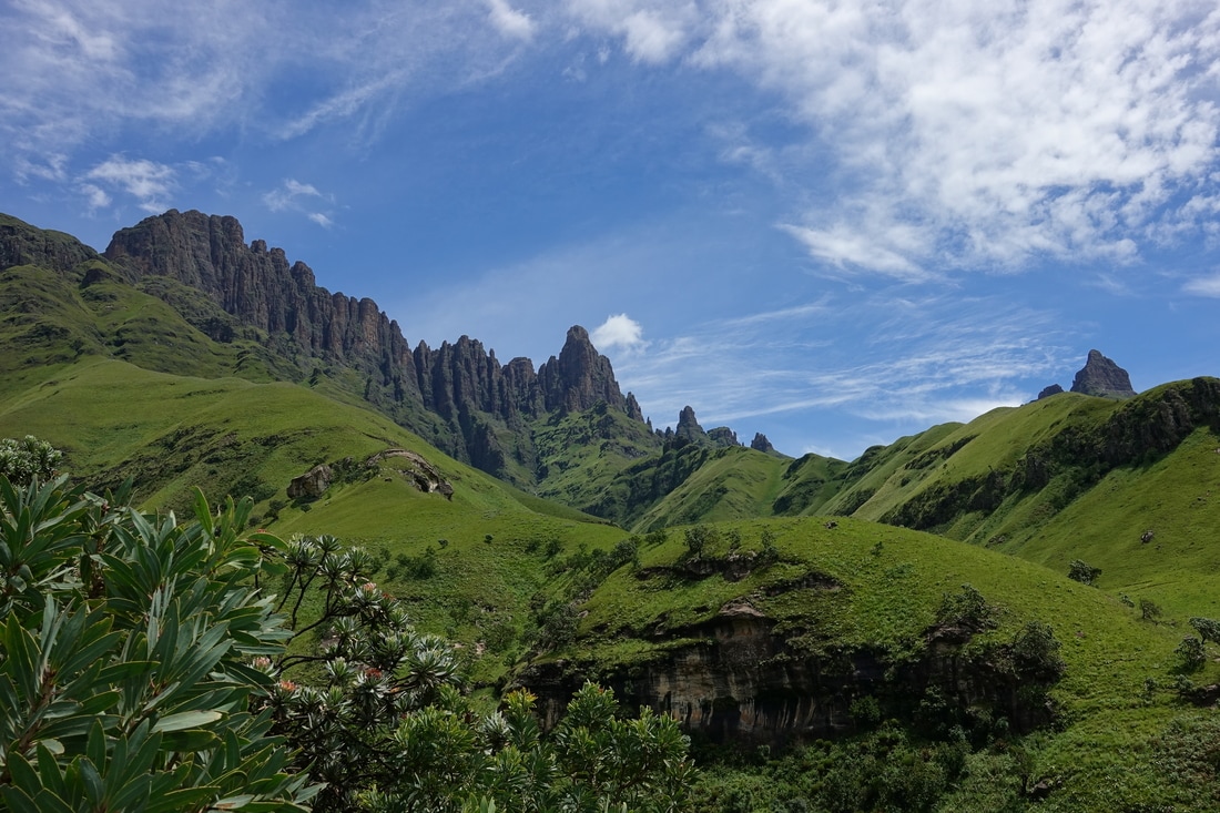 Looking up towards the mountains in the Drakensberg