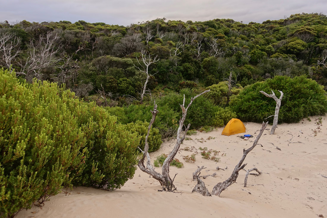Sheltered camp in the dunes on the west coast hike in Tasmania