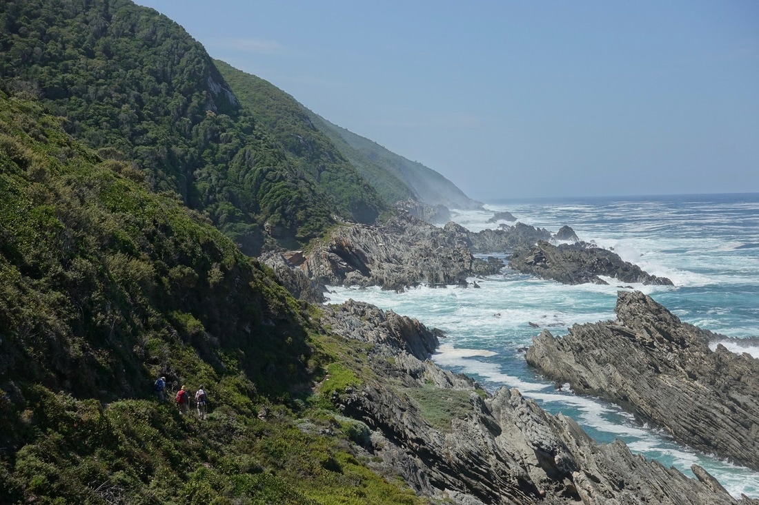 Dolphin trail hike along the Tsitsikamma Coast in South Africa
