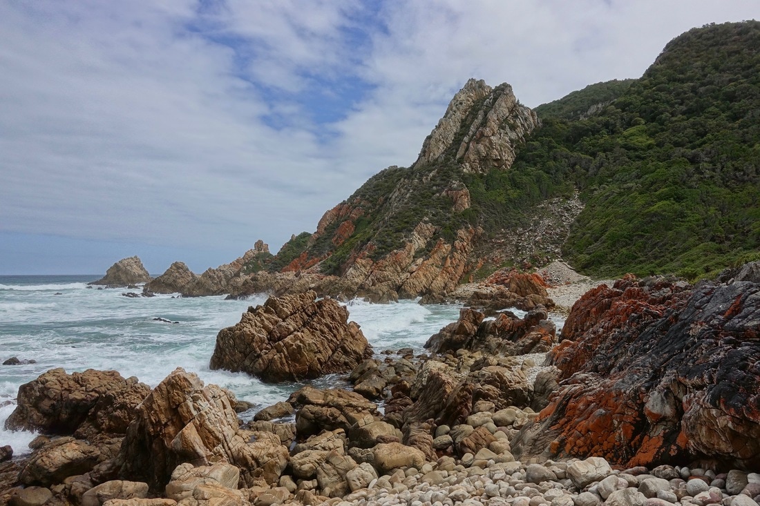 Harkerville coastal trail in the southern part of South Africa