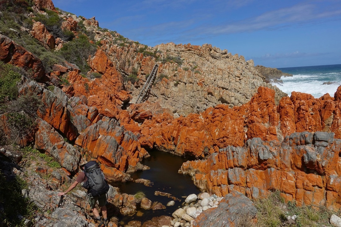 Ladders and orange rocks on the Harkerville coast