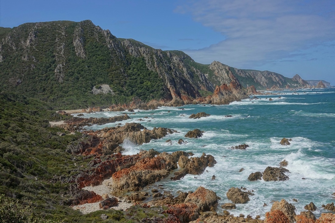 View along the Harkerville coastal hike