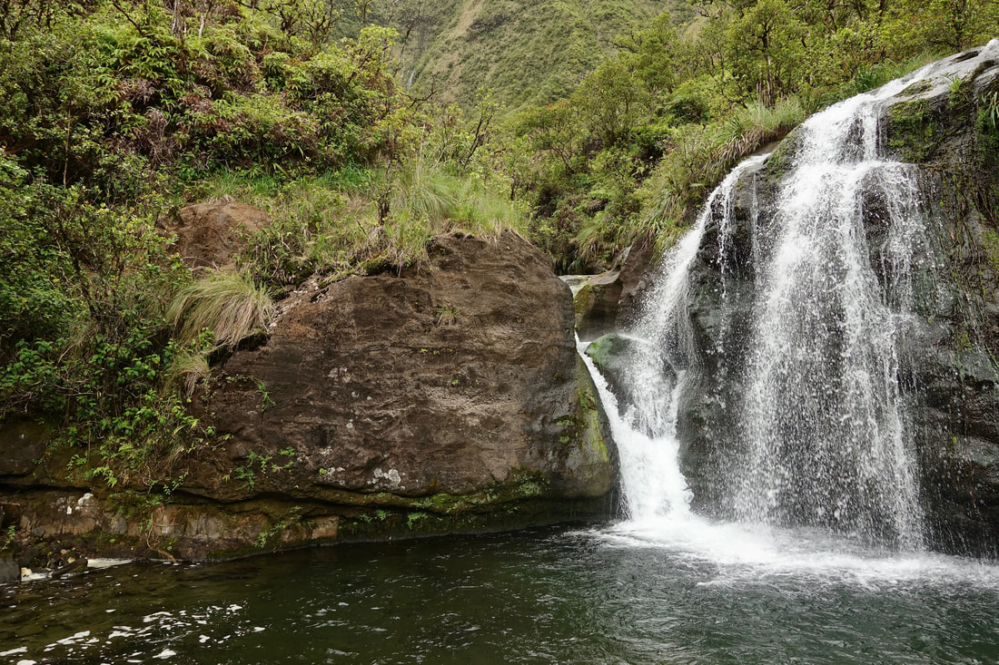 Guardian falls on the Wailua River in Kauai