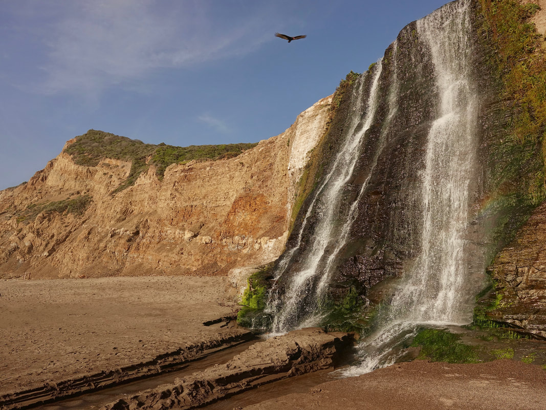 Alamere Falls near the Wildcat Campground in Point Reyes National Seashore in California