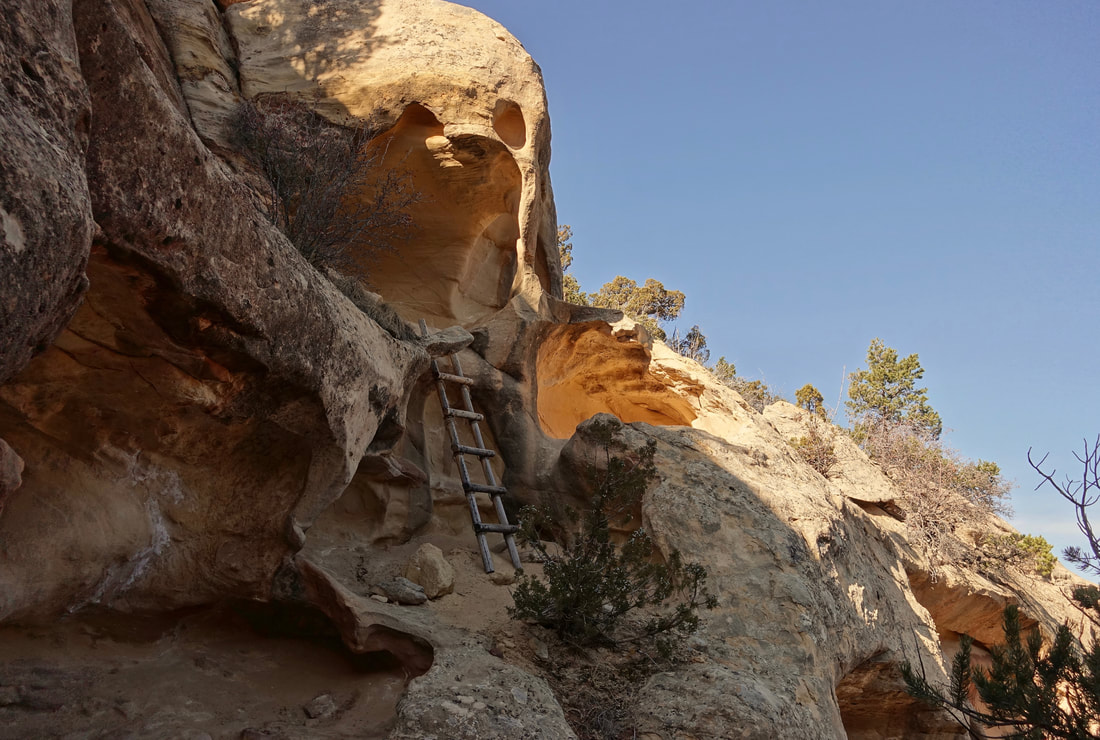 Ladder on the route down into Mee Canyon
