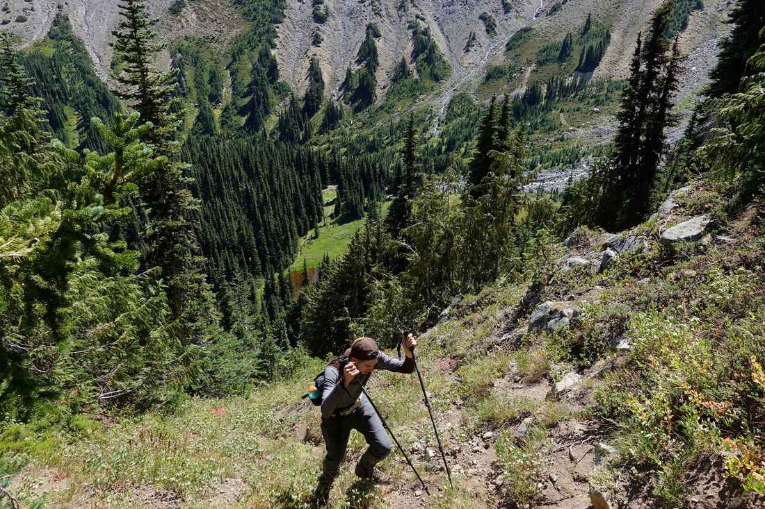Climbing off trail from the Glacier basin camp