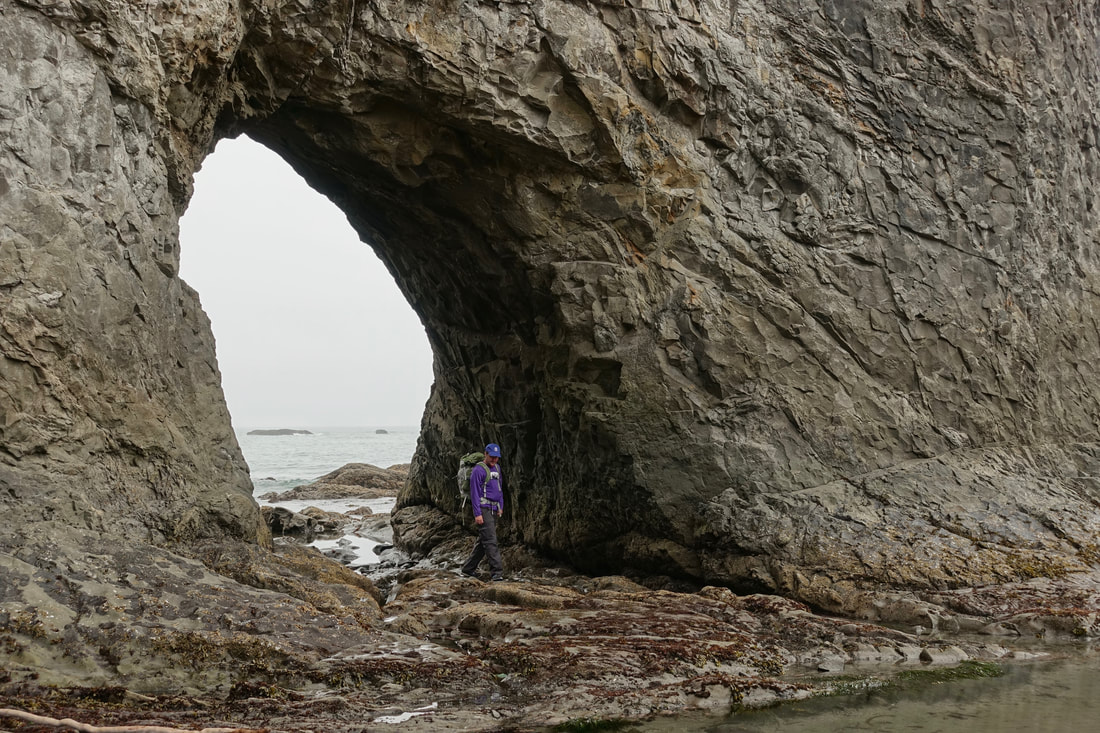 Hole in the wall in Olympic National Park coastline