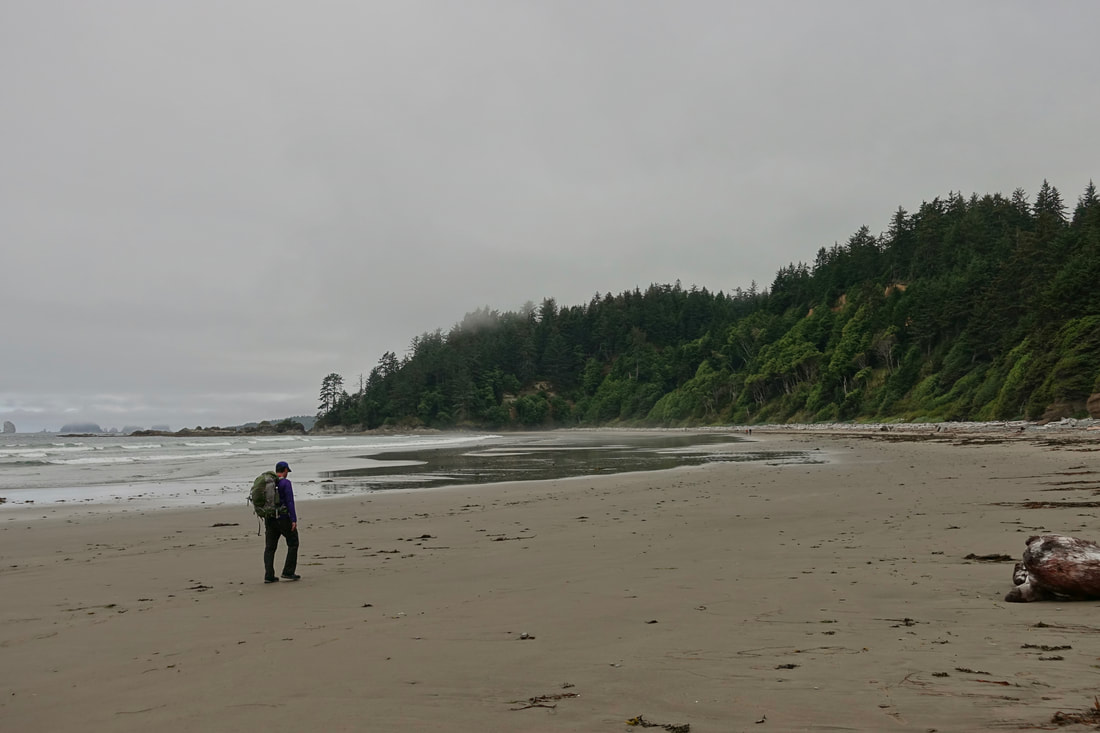 South Sand point beach on the Olympic coast, Washington