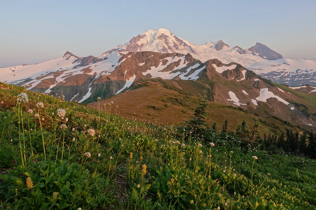 Mount Baker on the Skyline Divide trail hike in the Washington Cascades