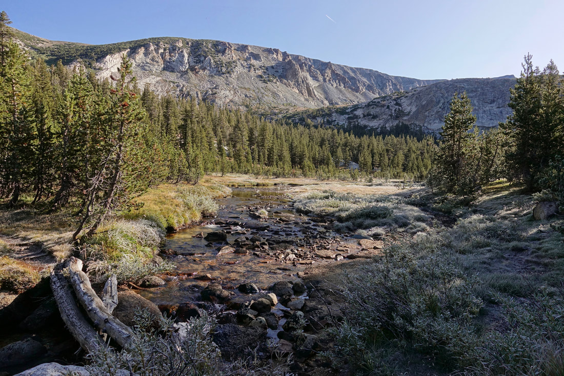 Lewis Creek in Yosemite south of Vogelsang pass