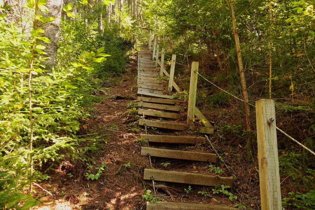 Stairs on the Fundy Footpath near the Interpretive Center near the Big Salmon River