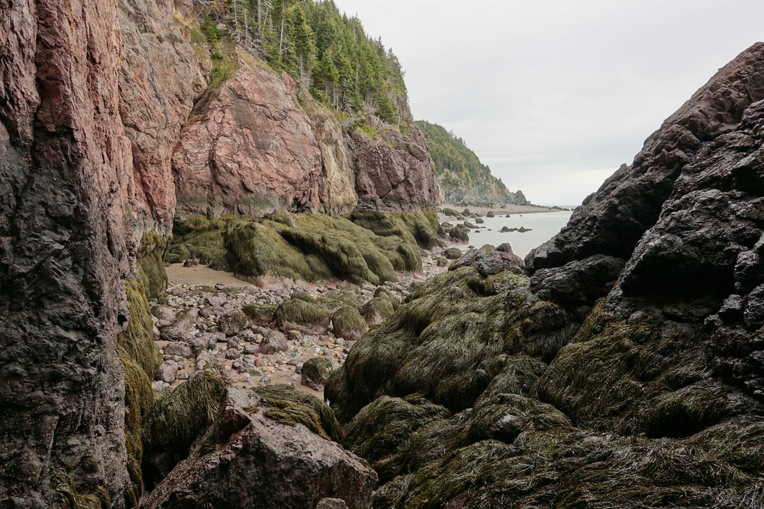 Seely beach to Cradle brook low tide hike along the Bay of Fundy