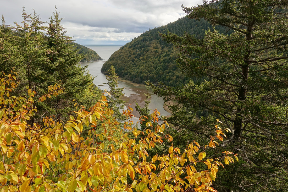 Little Salmon River on the Fundy Footpath hike in New Brunswick