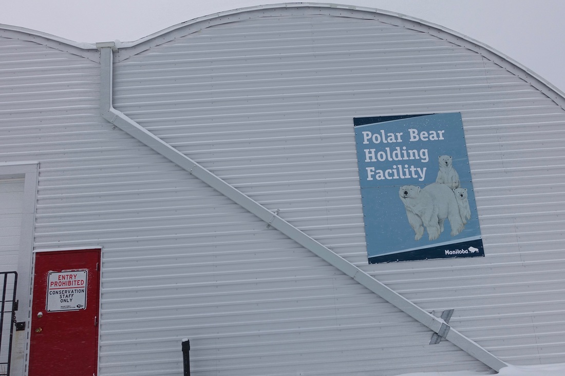 Polar bear jail