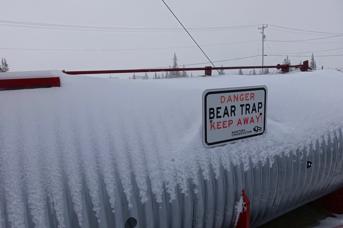 Polar bear trap