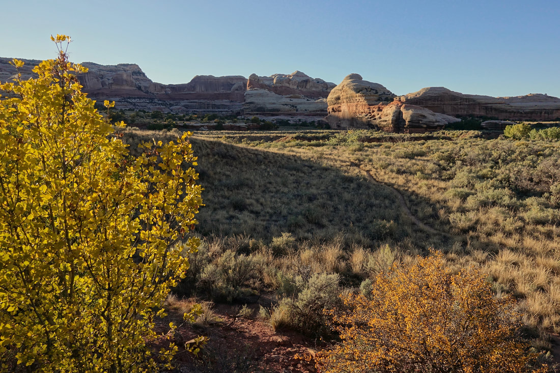 Campground on the Salt Creek Canyon hike in Canyonlands Utah