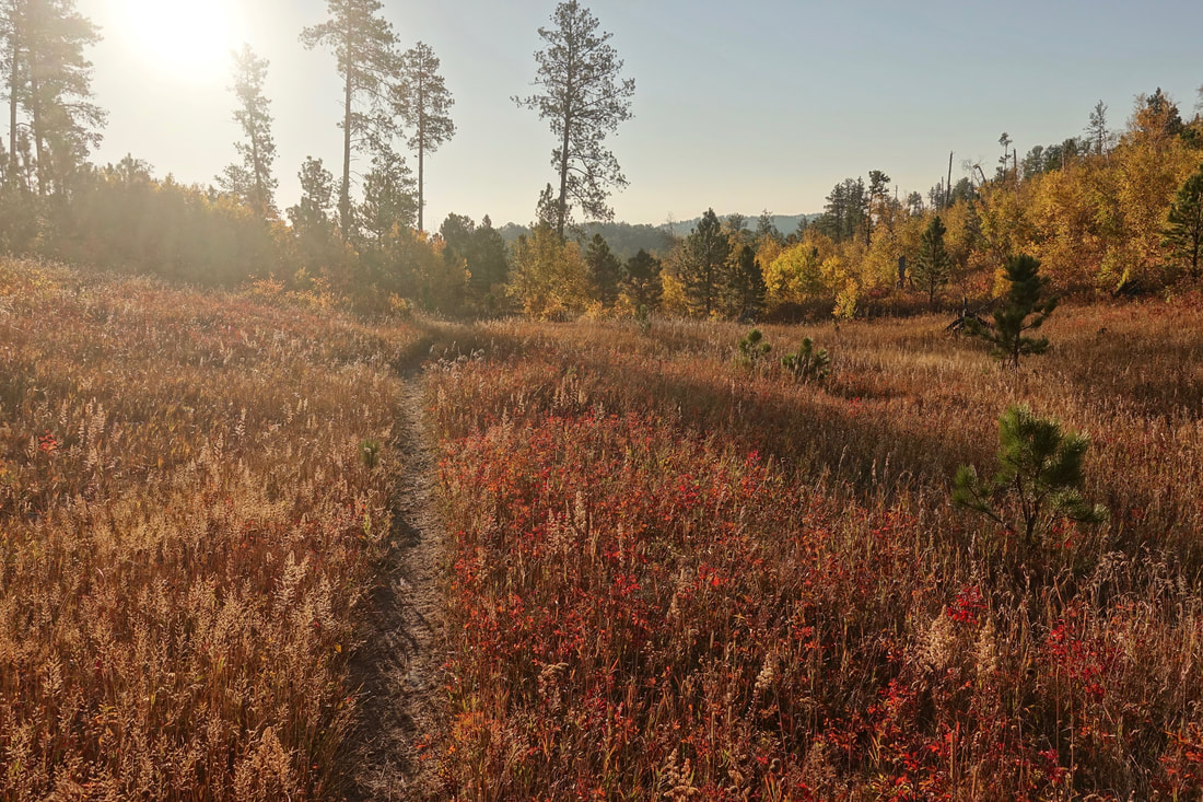 Fall colors on the Centennial trail in South Dakota