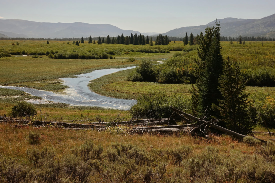 Yellowstone River Valley south of the lake