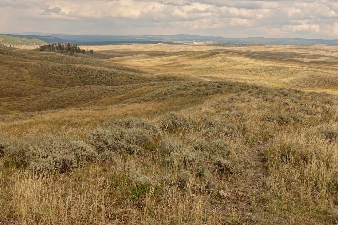 Eastern plateau on the Mary Mountain trail in Yellowstone National Park